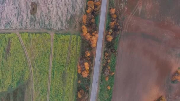 La vista desde el aire. Otoño dorado sobrevolando carretera rural — Vídeo de stock