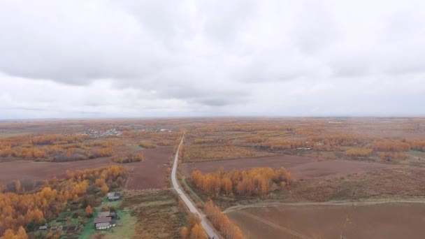 La vue de l'air. Automne doré survolant la route de campagne — Video