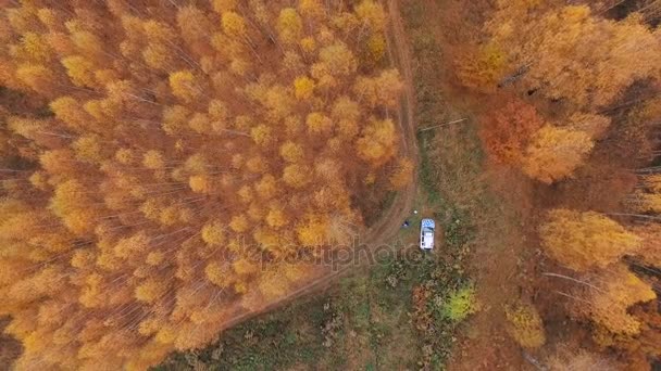 空気からの眺め。国の道路上を飛ぶ黄金色の秋 — ストック動画