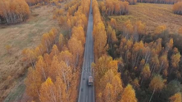 A nézet a levegőből. Ország út fölé repülő arany ősz — Stock videók