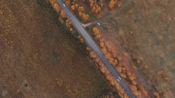 A vista do ar. Outono dourado voando sobre estrada país — Vídeo de Stock