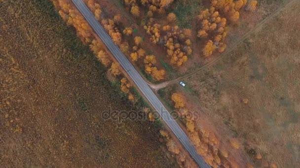 A nézet a levegőből. Ország út fölé repülő arany ősz — Stock videók