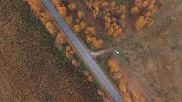 空気からの眺め。国の道路上を飛ぶ黄金色の秋 — ストック動画