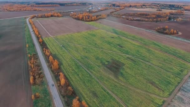 De auto gaat langs het veld — Stockvideo