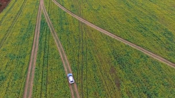 El auto recorre el campo. — Vídeos de Stock