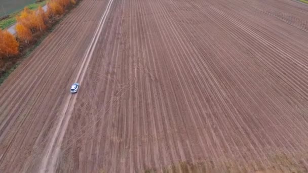 O carro vai ao longo do campo — Vídeo de Stock