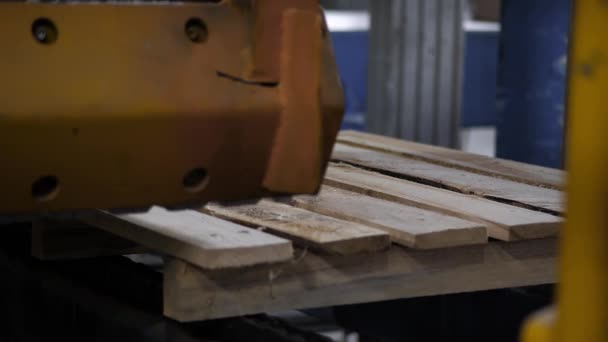 レンガの生産 ベルトコンベア 軽工業 — ストック動画
