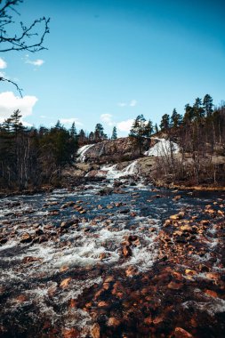 Bahar şelalesi ağaçlarda yaprak yok, kar var.