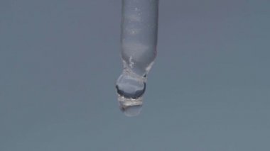 Pipetin ucundan bir damla yağ damlıyor.