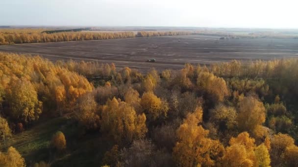 Betakarítás Területen Légi Fényképezés Technika Eltávolítja Burgonya — Stock videók