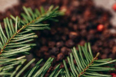 Masaya yakın plan siyah biber.