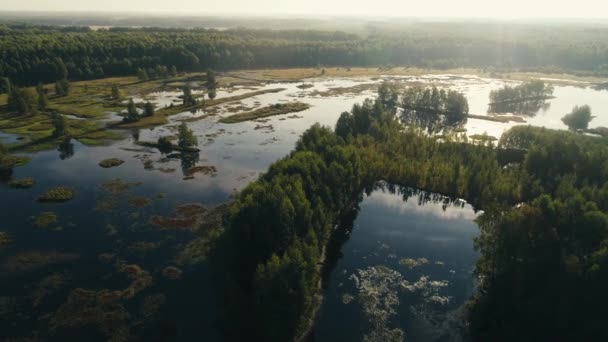 Voando Amanhecer Sobre Lago Sol Refletido Superfície Água Fotografia Aérea — Vídeo de Stock