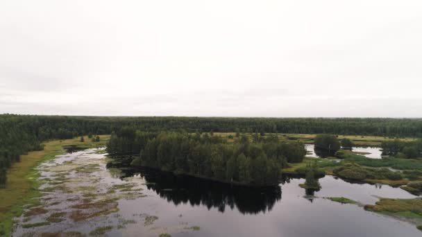 Survoler Lac Entouré Forêts — Video