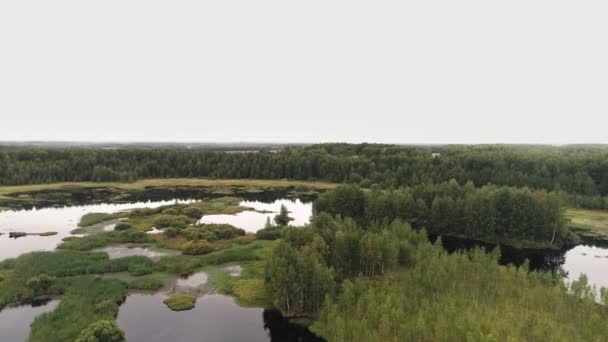 Voando Sobre Lago Cercado Por Florestas — Vídeo de Stock