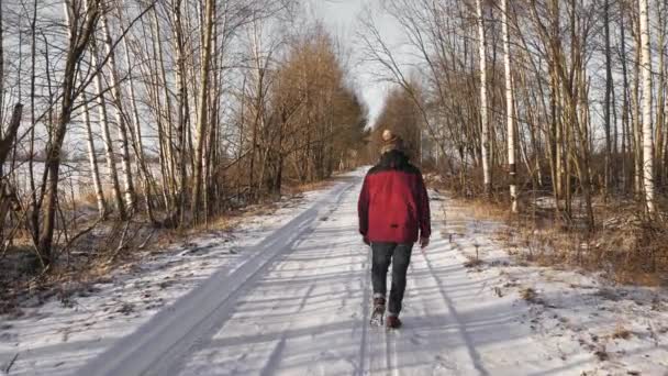 Een Man Loopt Alleen Een Winterweg Het Bos — Stockvideo