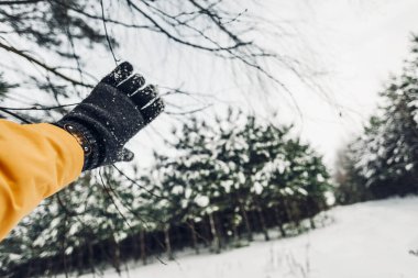 Elini uzat, ormanda bir yürüyüş, yeni yıl tatili.