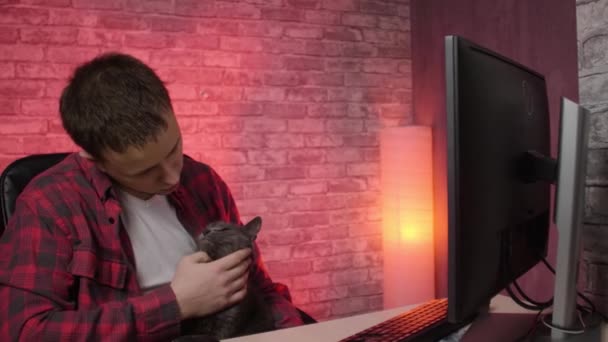 男Bは コンピュータに座っていると猫を撫でます一般的な計画 — ストック動画
