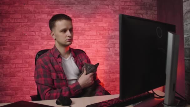 Guy Sitzt Computer Und Streichelt Die Katze — Stockvideo