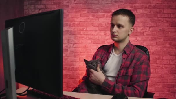 Guy Κάθεται Στον Υπολογιστή Και Χαϊδεύει Γάτα — Αρχείο Βίντεο