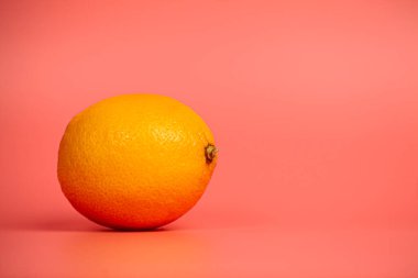 Lemon pembe bir arka planda yatıyor