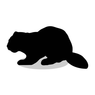 Kunduz yaban hayatı siyah siluet hayvan