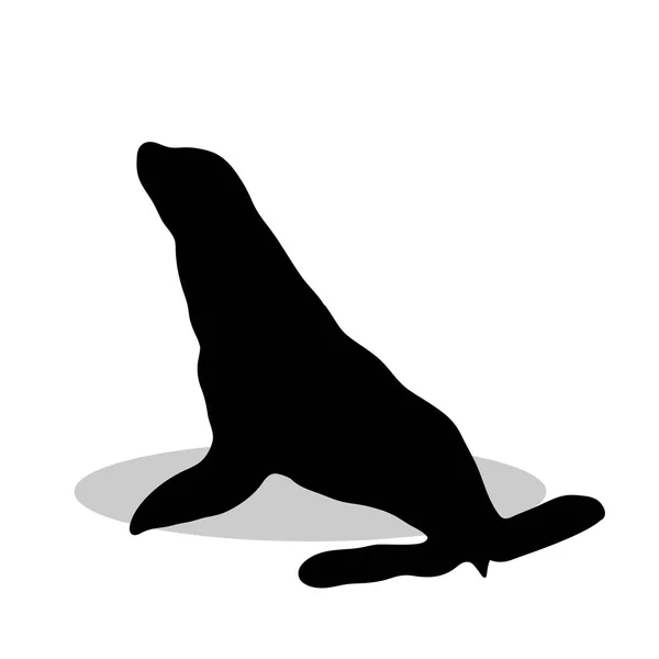 Phoca námořní černá silueta zvířete — Stockový vektor
