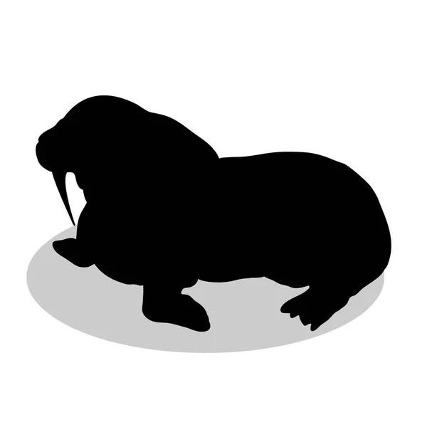 セイウチ北極の黒いシルエット動物 — ストックベクタ