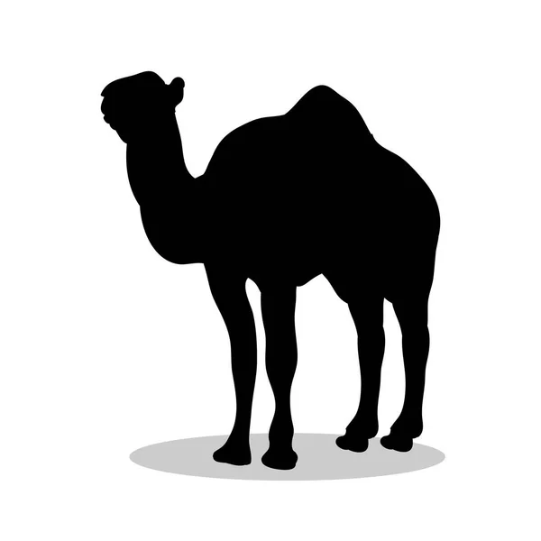 Camel mammal black silhouette animal — Stock Vector