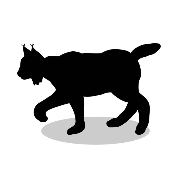 Lynx vadon élő fekete sziluett állati — Stock Vector