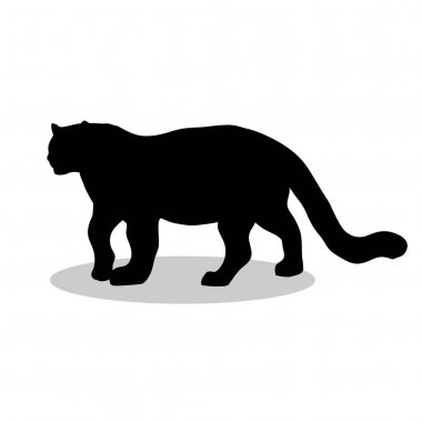 Leopar yaban kedisi siyah siluet hayvan.
