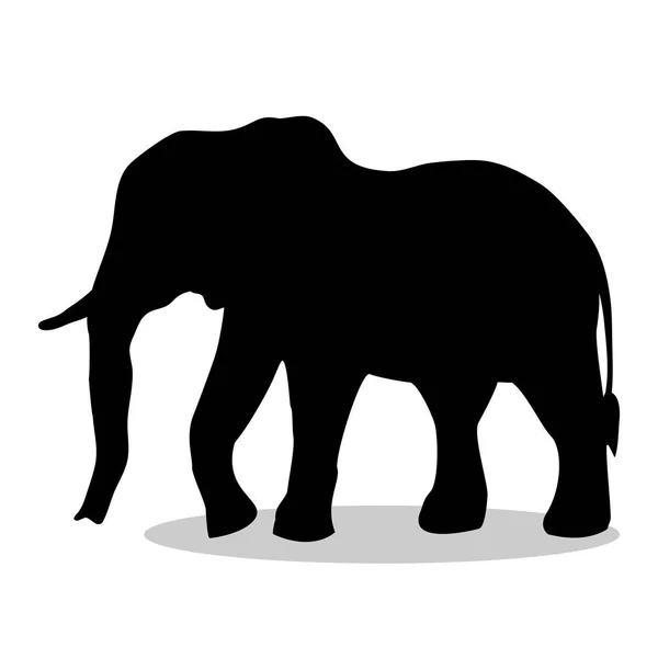 Elephant däggdjur svart siluett djur — Stock vektor