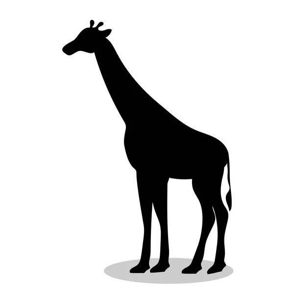 Žirafa savec černá silueta zvířete — Stockový vektor