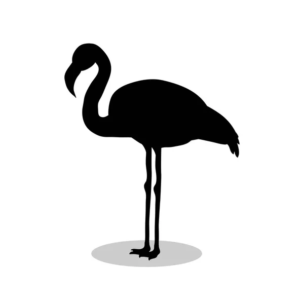 Flamant rose oiseau silhouette noire animal — Image vectorielle