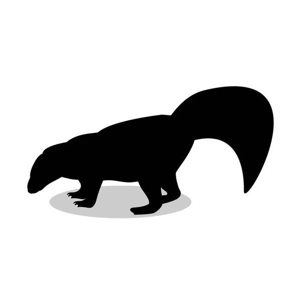 スカンク哺乳類黒シルエット動物 — ストックベクタ