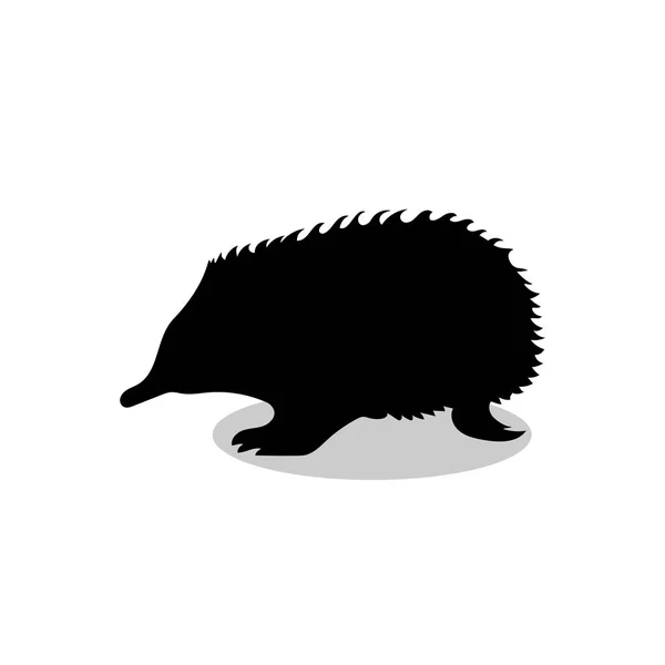 Echidna mammifero nero silhouette animale — Vettoriale Stock