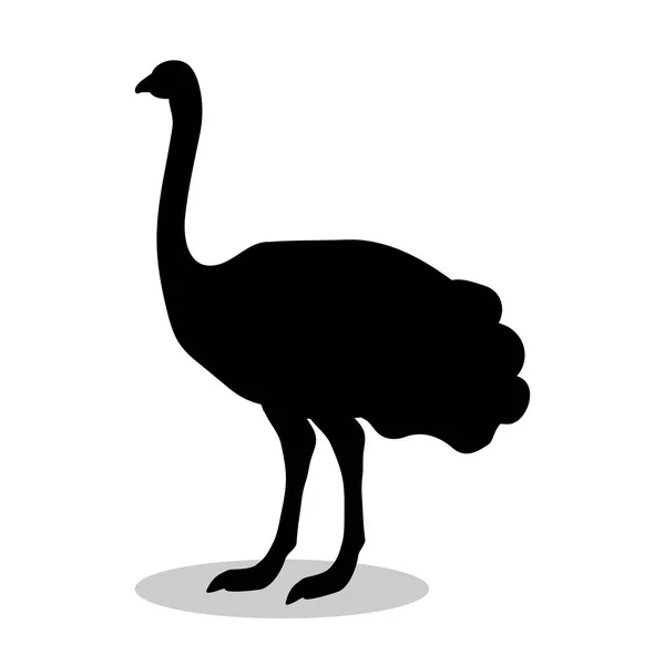 Oiseau autruche silhouette noire animal — Image vectorielle