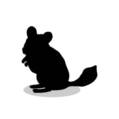 Chinchilla pet rodent black silhouette animal	 clipart