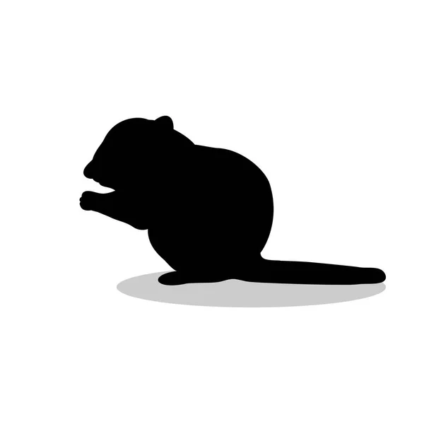 Бурундук-грызун-млекопитающее чёрного силуэта — стоковый вектор