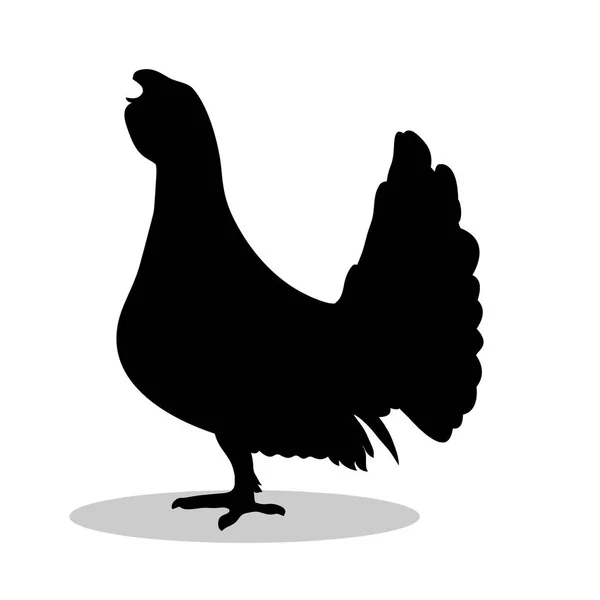Capercaillie bird  black silhouette animal — Stock Vector