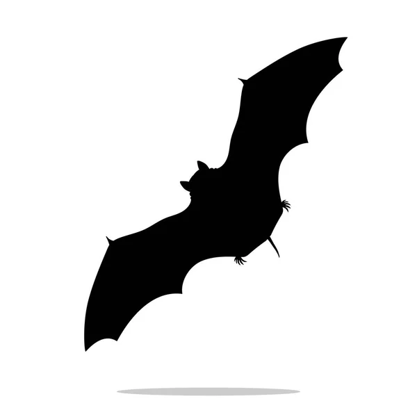 박쥐 포유동물 검은 실루엣 동물 — 스톡 벡터