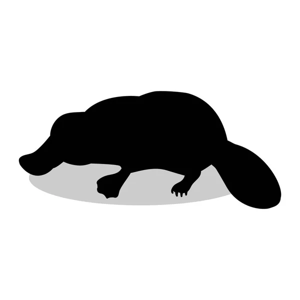 カモノハシ哺乳類黒シルエット動物 — ストックベクタ