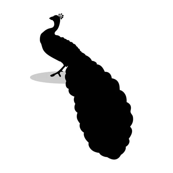 孔雀鳥黒シルエット動物 — ストックベクタ