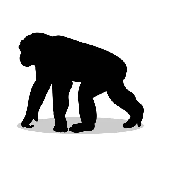 Χιμπατζής μαϊμού πρωτευόντων μαύρη σιλουέτα των ζώων — Διανυσματικό Αρχείο