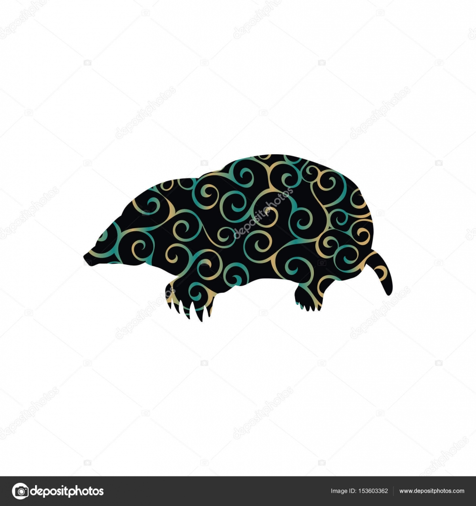 Animale di sagoma del colore di mammifero di insettivori di talpa Animale di mole insettivori mammifero colore sagoma Illustratore di vettore — Vettoriali di kozyrevaelena Trova immagini simili