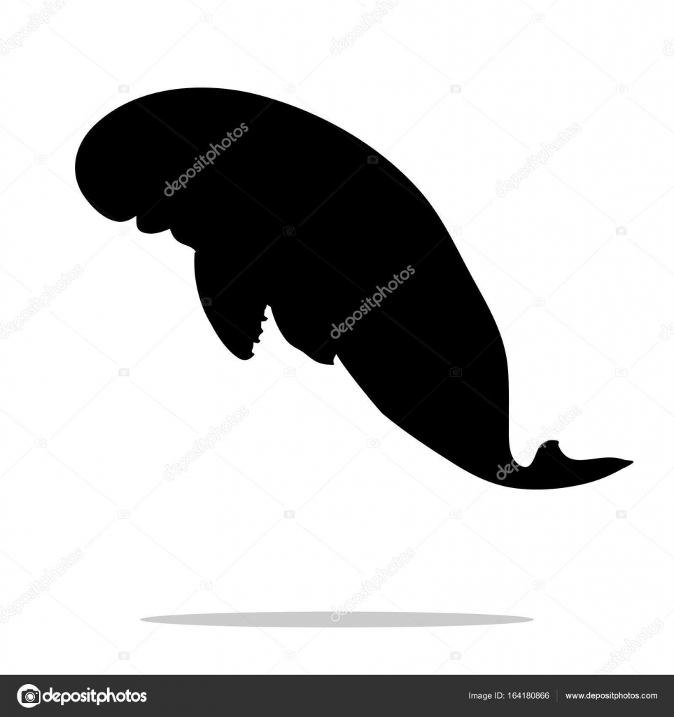 Manatee Silhouette Vectorストックベクター ロイヤリティフリーmanatee Silhouette Vectorイラスト Depositphotos Manatee Silhouette Vectorストックベクター ロイヤリティフリーmanatee Silhouette Vectorイラスト Depositphotos