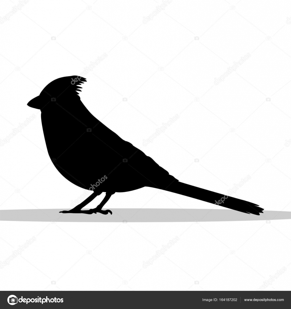 Download Cardinal bird black silhouette animal — Stock Vector © kozyrevaelena #164187202