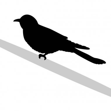 Cuckoo bird  black silhouette animal clipart