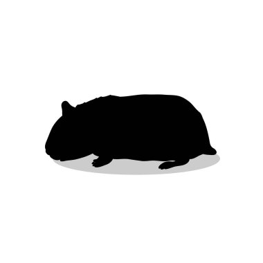Hamster kemirgen siyah siluet hayvan