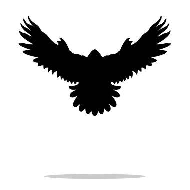 Şahin kuş siyah siluet hayvan