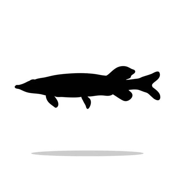 Pike fish silueta negra animal acuático — Vector de stock